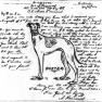 Letter to RSK 06-24-1944 002
