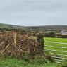 Scotland