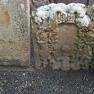 2024-01-05 Ripon-Ayr-Sterling_JAK_4916