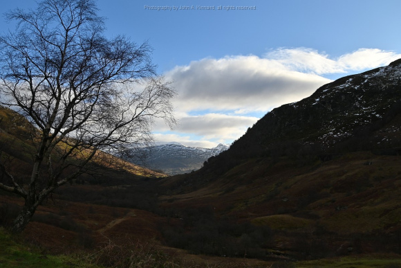 2024-01-06 Sterling-Glen Coe-BroadfordJAK_5042