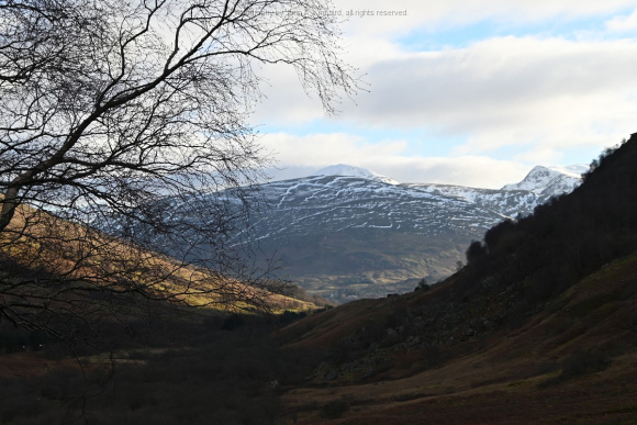 2024-01-06 Sterling-Glen Coe-BroadfordJAK_5043