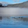 2024-01-06_JAK_Sterling_Glen Coe-Broadford_130142