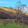 2024-01-06_JAK_Sterling_Glen Coe-Broadford_134305