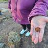 2024-01-06_JAK_Sterling_Glen Coe-Broadford_151326 - Copy
