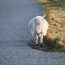 2024-01-07_Isle of Syke_JAK_5156