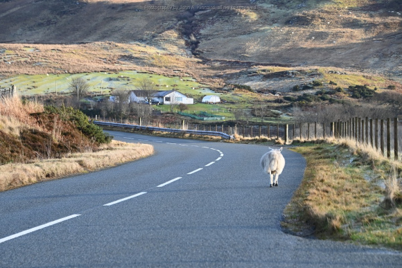 2024-01-07_Isle of Syke_JAK_5157