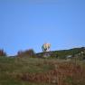 2024-01-07_Isle of Syke_JAK_5170