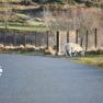 2024-01-07_Isle of Syke_JAK_5174