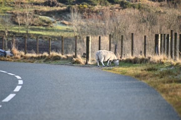 2024-01-07_Isle of Syke_JAK_5174