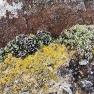2024-01-07_JAK_Isle of Skye_105001