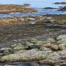 2024-01-07_JAK_Isle of Skye_105613