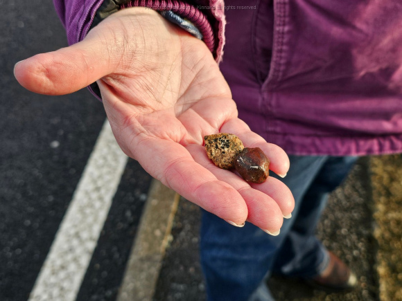 2024-01-07_JAK_Isle of Skye_115908