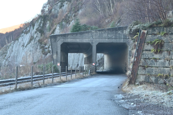 JAK_5241