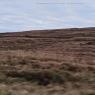 Scotland