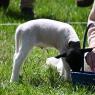 2023-09-09_Lions_Easter_Egg_Hunt_JAK_1909