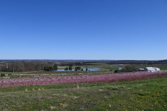 2023-04-02_Orchard_JAK_1823