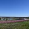 2023-04-02_Orchard_JAK_1824