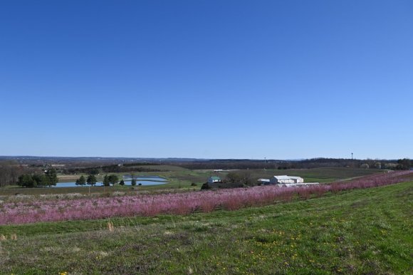 2023-04-02_Orchard_JAK_1824