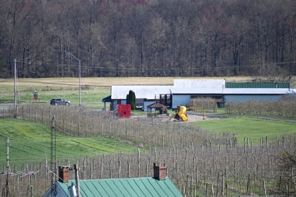 2023-04-02_Orchard_JAK_1825