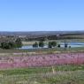 2023-04-02_Orchard_JAK_1826