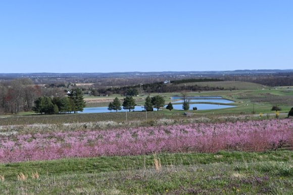 2023-04-02_Orchard_JAK_1826