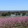 2023-04-02_Orchard_JAK_1827