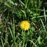 2023-04-02_Orchard_JAK_1834