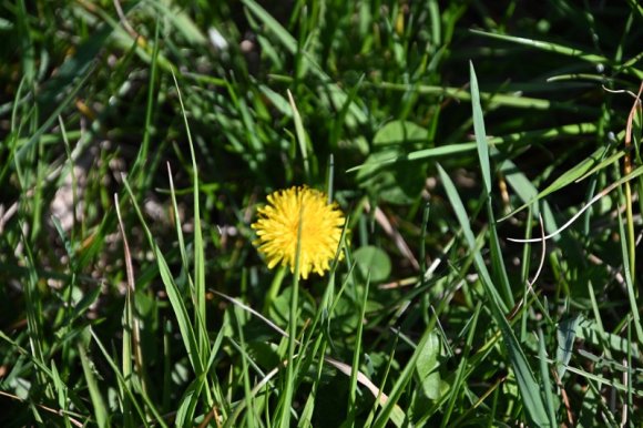 2023-04-02_Orchard_JAK_1834