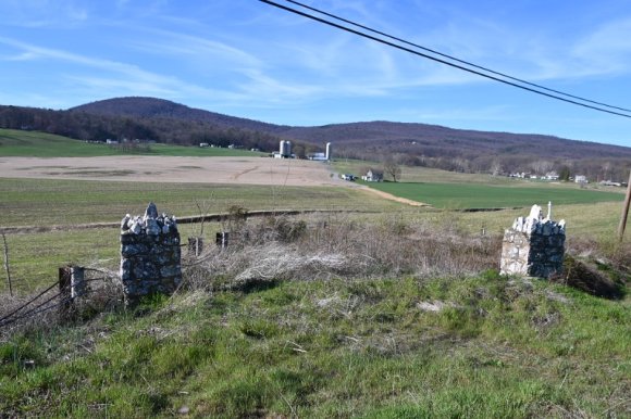 2023-04-02_Orchard_JAK_1839