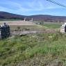 2023-04-02_Orchard_JAK_1840