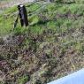 2023-04-02_Orchard_JAK_1843