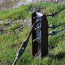 2023-04-02_Orchard_JAK_1845