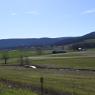 2023-04-02_Orchard_JAK_1846