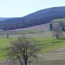2023-04-02_Orchard_JAK_1851
