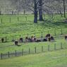 2023-04-02_Orchard_JAK_1853