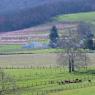2023-04-02_Orchard_JAK_1854