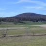 2023-04-02_Orchard_JAK_1855
