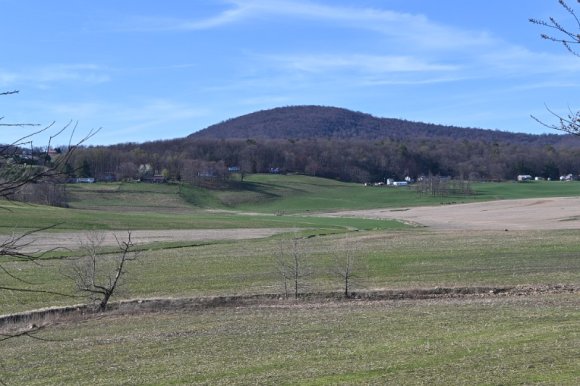 2023-04-02_Orchard_JAK_1855
