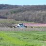 2023-04-02_Orchard_JAK_1857