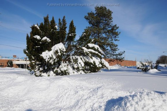 2010-02-07_JAK_2418