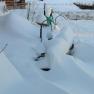 2010-02-07_JAK_2426