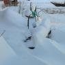 2010-02-07_JAK_2426