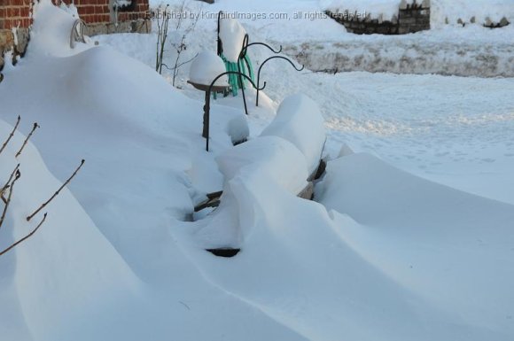 2010-02-07_JAK_2426