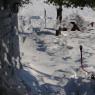 2010-02-11_JAK_2439