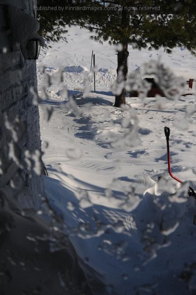 2010-02-11_JAK_2439