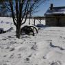 2010-02-11_JAK_2443