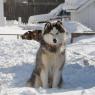 2010-02-11_JAK_2480