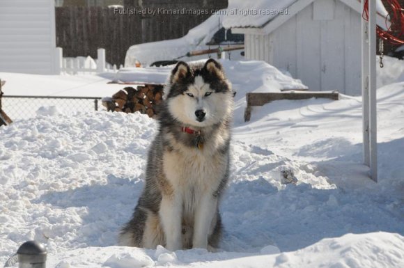 2010-02-11_JAK_2480