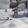 2010-02-11_JAK_2481