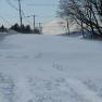 2010-02-11_JAK_2515